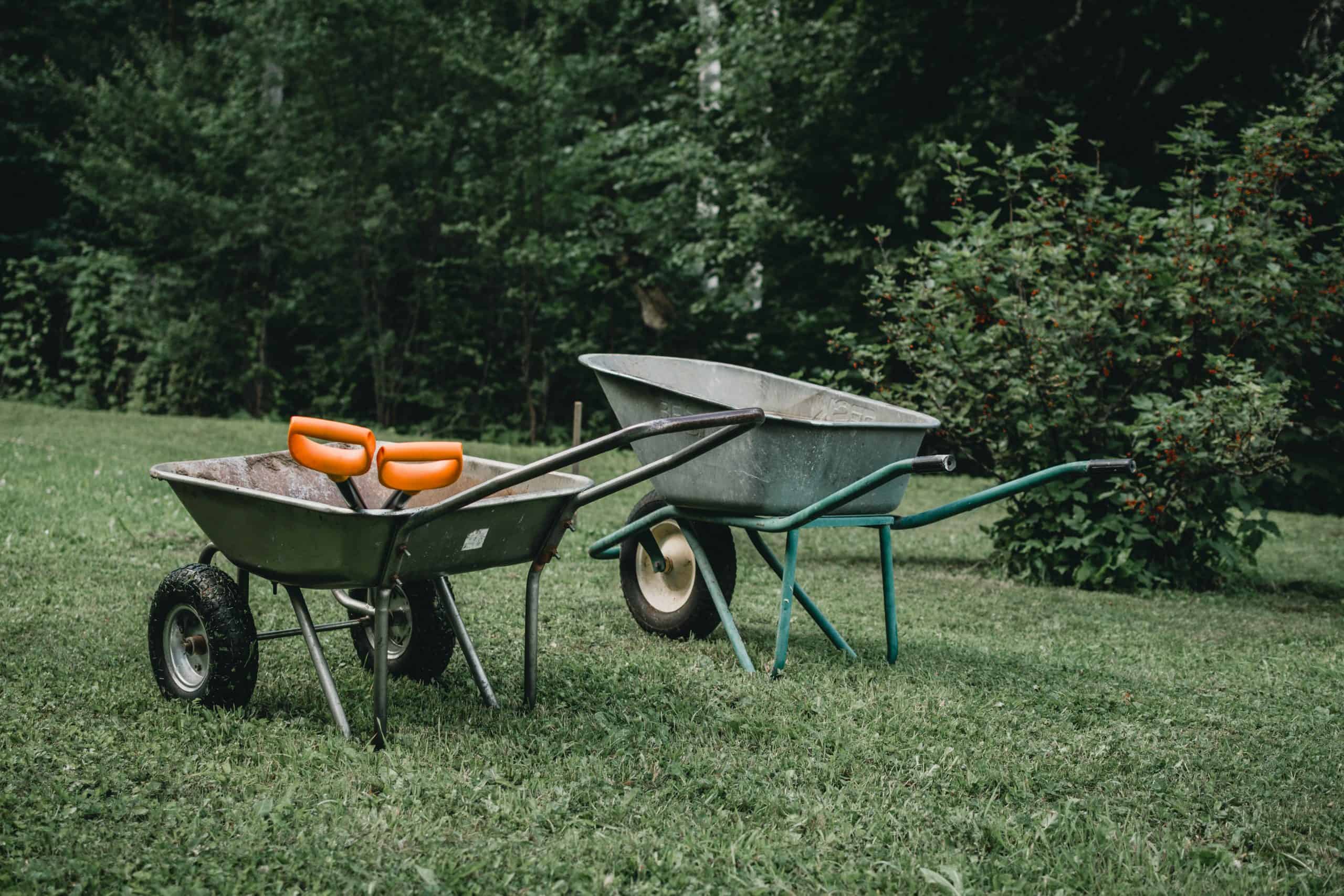 two wheelbarrows and garden tools